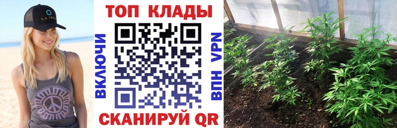 Как найти закладки Шагонар ГАШ  МАРИХУАНА  АМФЕТАМИН  Меф мяу мяу  Метадон  A PVP 
