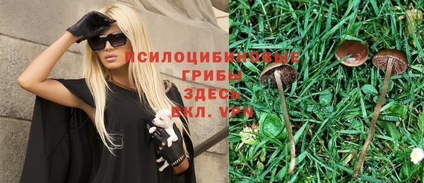 шишки Балахна