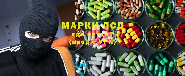ПСИЛОЦИБИНОВЫЕ ГРИБЫ Баксан