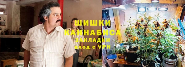 шишки Балахна