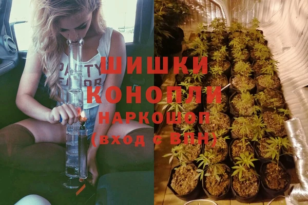 шишки Балахна